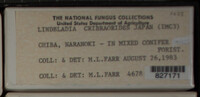 Image Associated With the Occurence